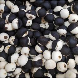 کشک دو رنگ فله